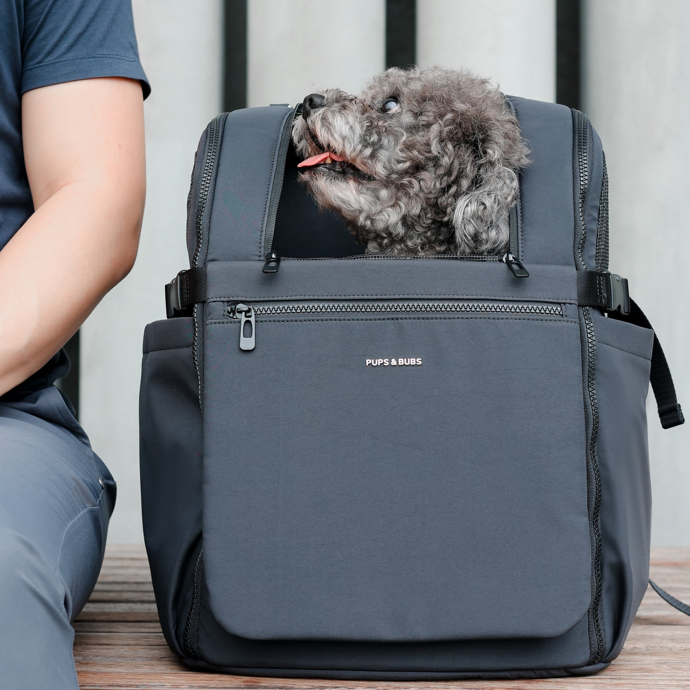 Sac à dos Traveler Pet Carrier