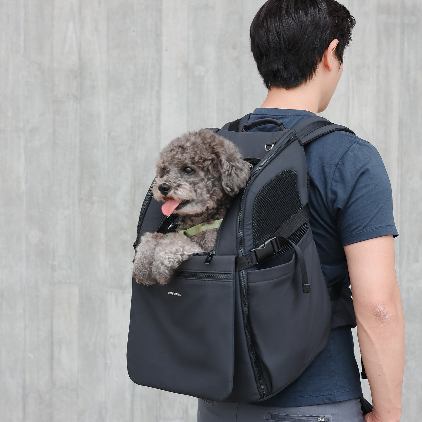 Sac à dos Traveler Pet Carrier