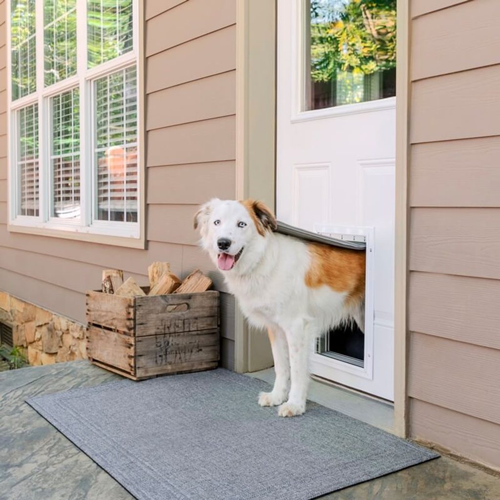 PetSafe® Extreme Weather dvířka pro psy hliníková
