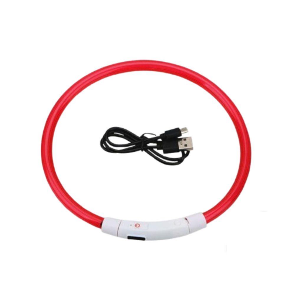Collier lumineux USB chien chat Reedog Full Light