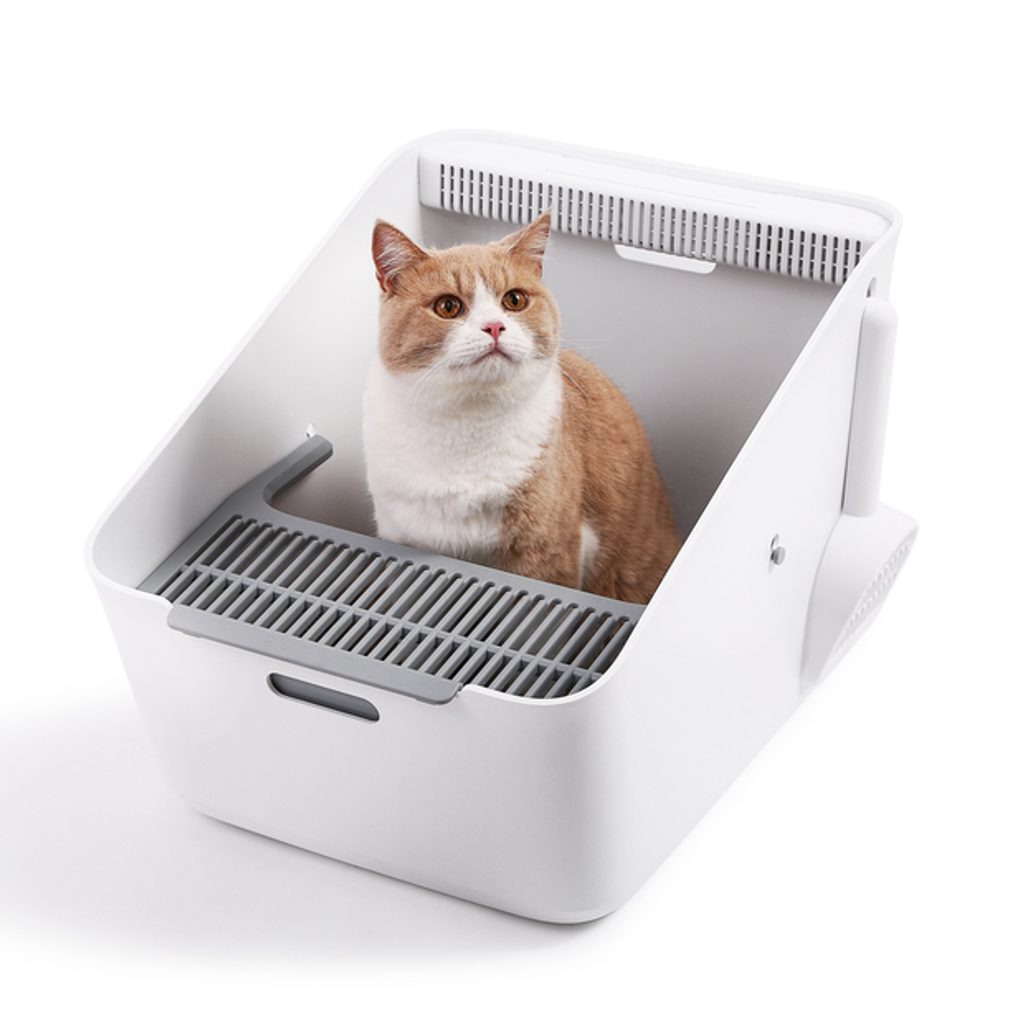 Petkit Pura Cat