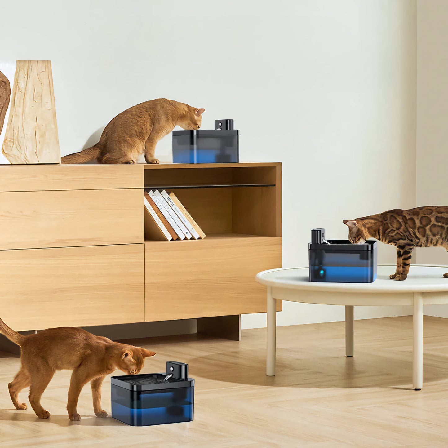Fontaine à eau pour chat sans fil Rojeco