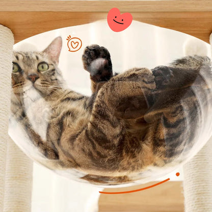 Nature'Chat