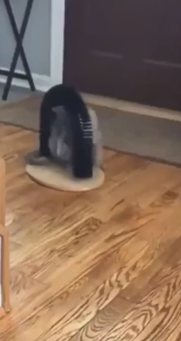 Charger la vidéo : 