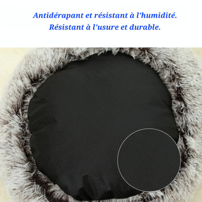 Félin'Cocoon