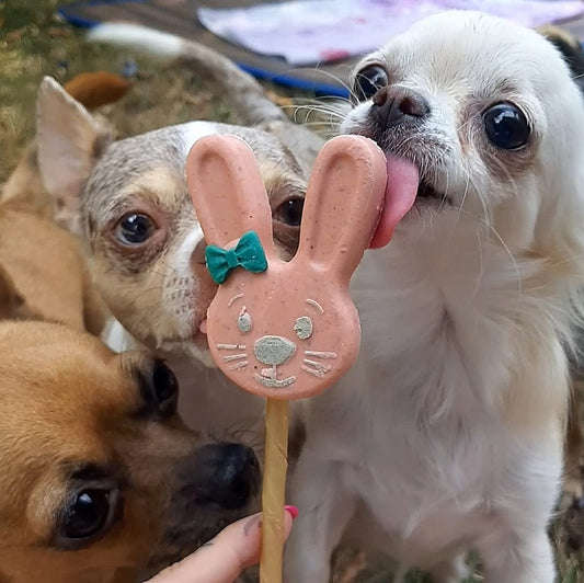 Sucettes Sucrées pour Chiens – Un Plaisir Gourmand et Sain !